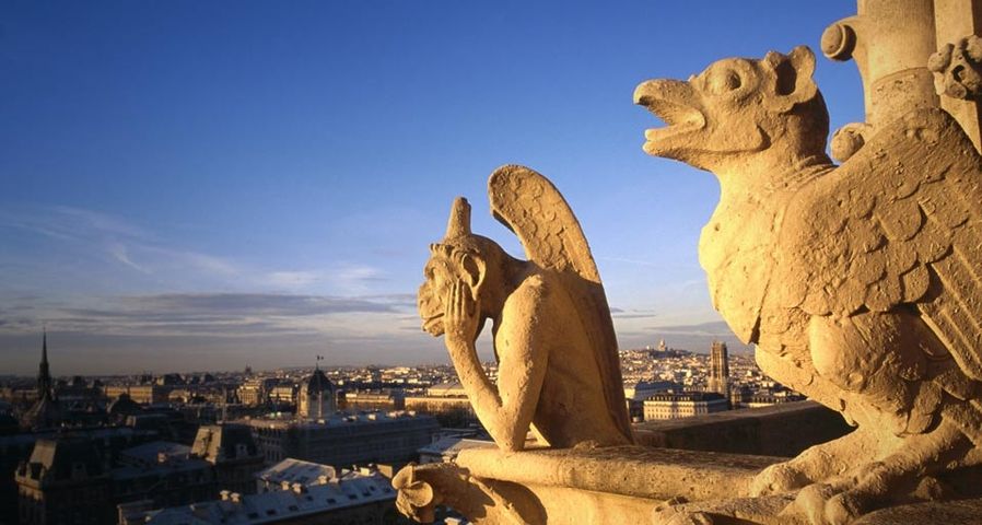 法国巴黎圣母院屋顶上的夜行神龙雕像