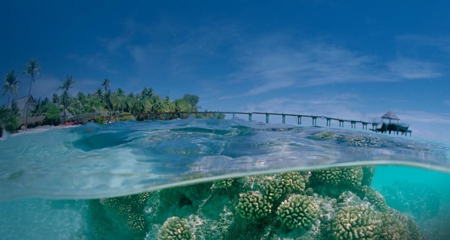 法属波利尼西亚，土阿莫土群岛上的“法卡拉瓦”环礁
