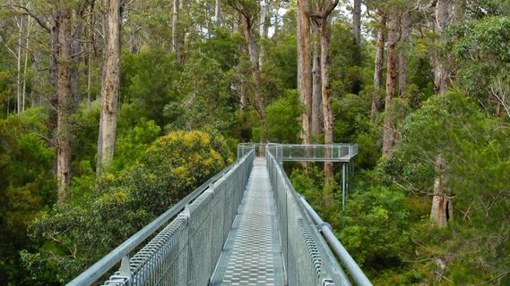 有时候有点高估自己