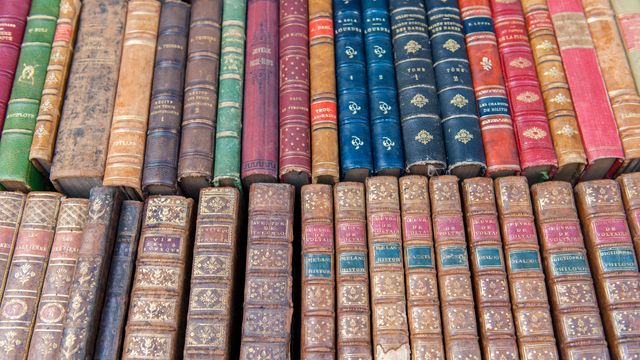 Livres anciens à Dijon, Bourgogne