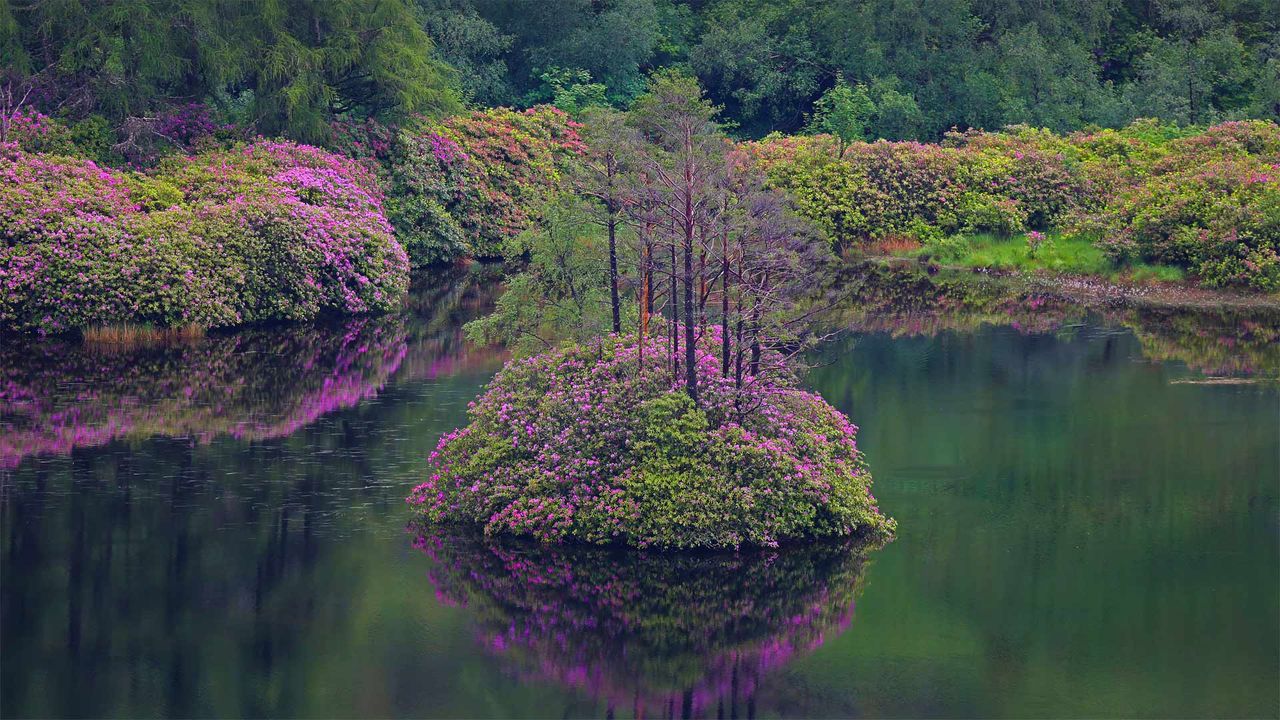 Small loch in Glen Etive, Scotland