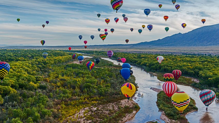Mongolfiere in volo all'Albuquerque International Balloon Fiesta ad Albuquerque, in New Mexico