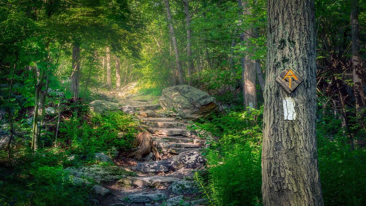 The Appalachian Trail in Stokes State Forest, New Jersey