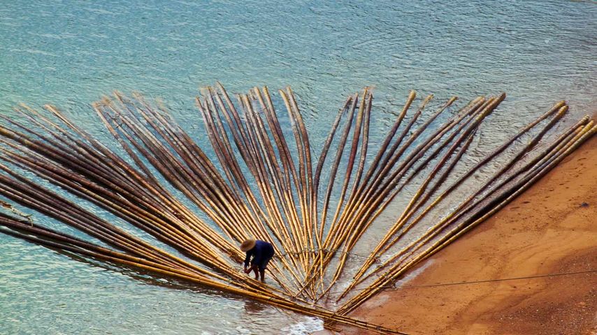 海水养殖用竹