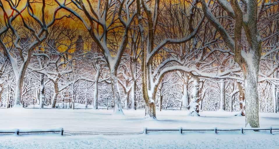 Sunrise in Central Park after a snowstorm in New York City, New York