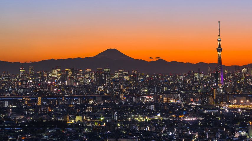 ｢富士山と東京スカイツリー｣千葉県, 市川市
