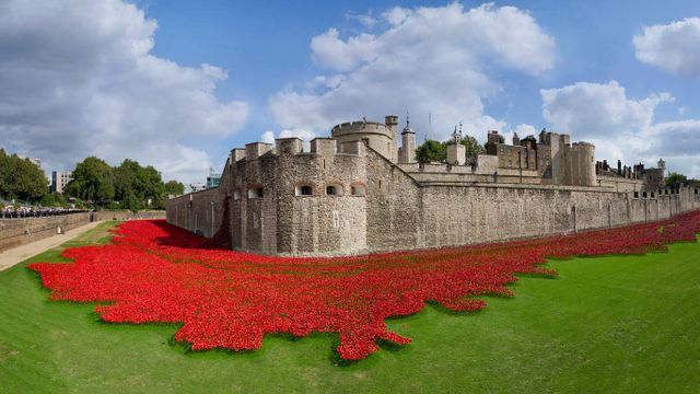 Tower of London surrounded by ceramic poppies, art installation created by Paul Cummins in honor of the 100th anniversary of the beginning of World War I, London, England