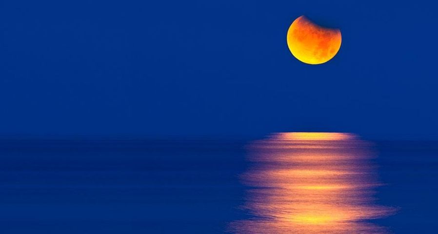 Partial eclipse of the moon setting over the Gulf of Mexico, USA