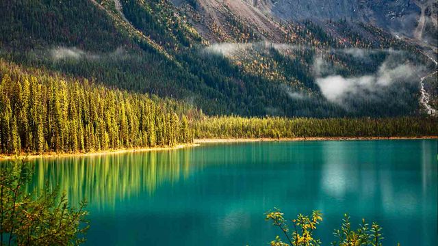 Emerald lake, Yoho National park