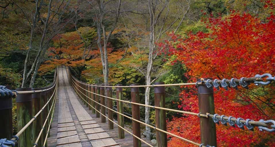 ｢花貫渓谷｣茨城, 高萩市