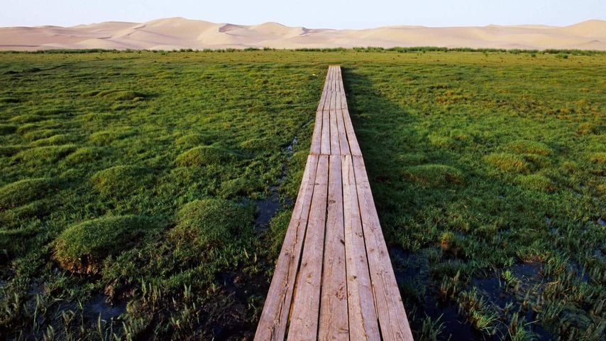 Pont au-dessus d’un marécage près des dunes de sable Khongoryn Els dans le désert de Gobi, Mongolie