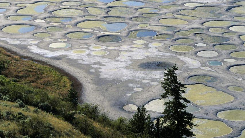 Spotted Lake near Osoyoos, British Columbia