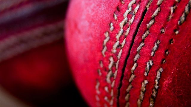 Cricket balls sitting together