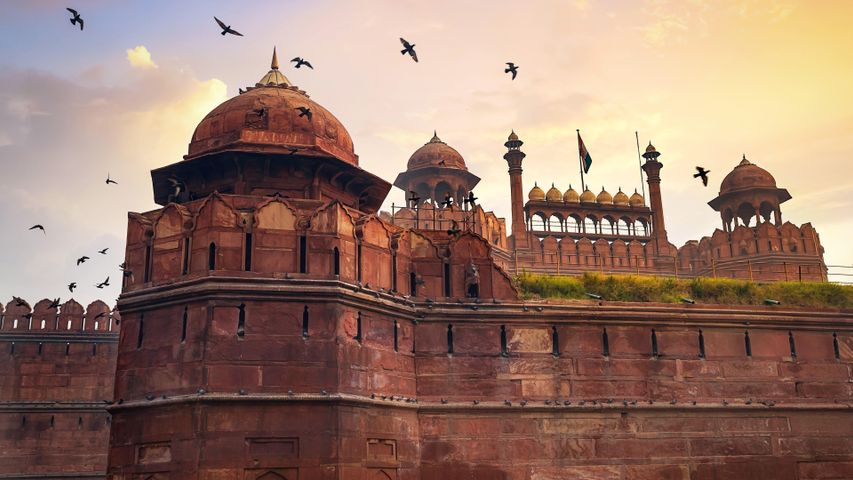 Red Fort Delhi historic monument at sunrise with flying pigeons