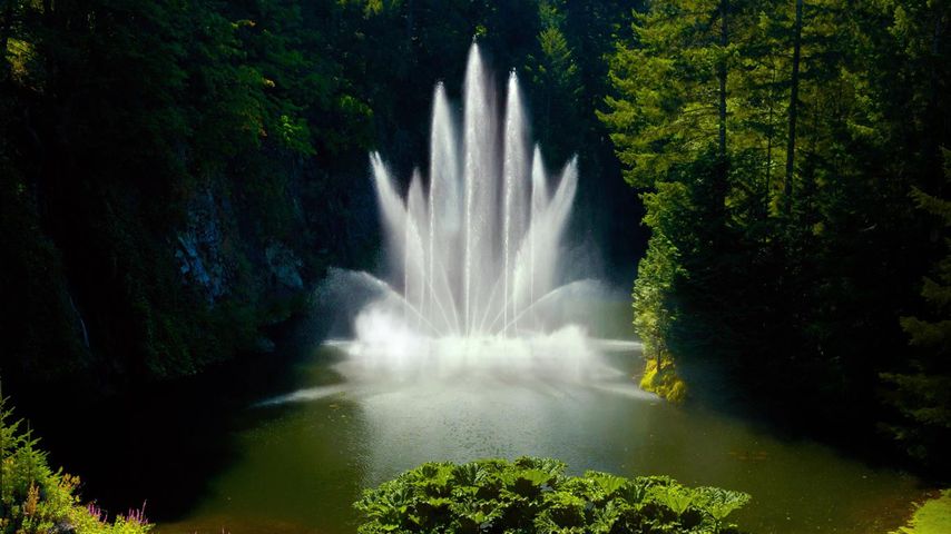 Springbrunnen Ross Fountain, Butchart Gardens, Victoria, British Columbia, Kanada 