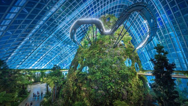Gardens by the Bay (Jardins de la Baie), Singapour