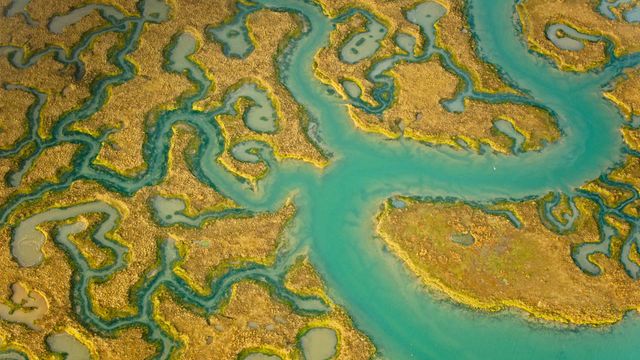Aerial view of salt marsh at Abbotts Hall Farm, Essex 