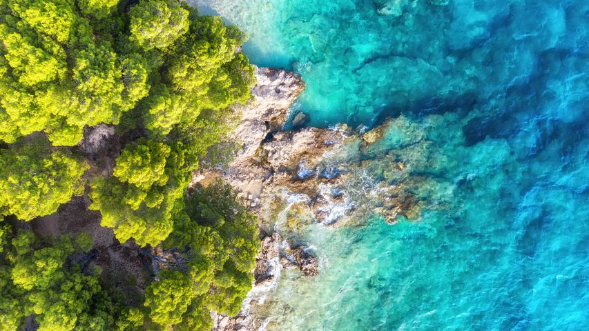 Green trees, blue seas
