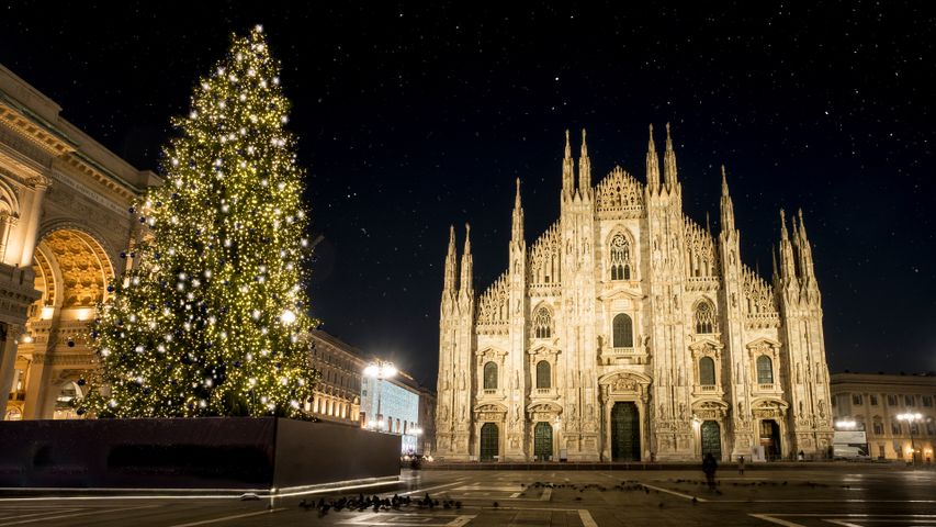 Albero di Natale in Piazza del Duomo, Milano