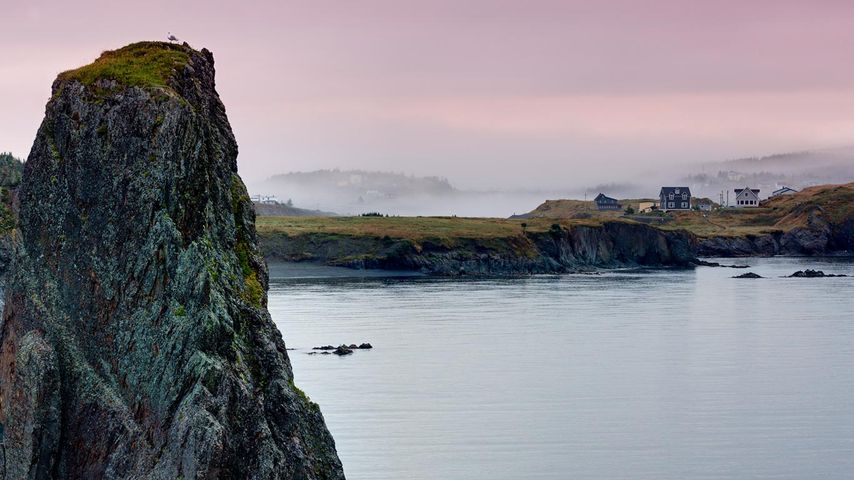 加拿大纽芬兰岛，博纳维斯塔半岛的海边小径