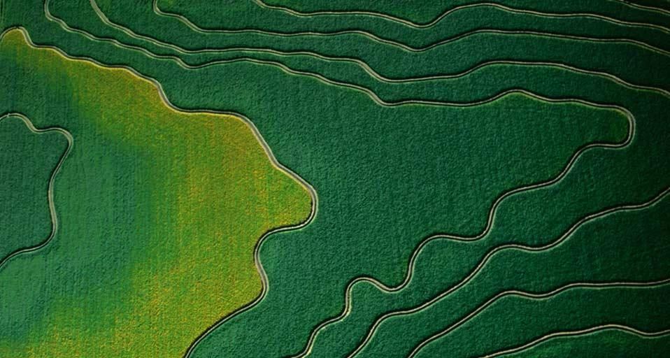 Aerial view of cultivated fields in Arizona