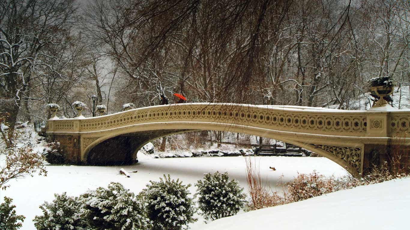 Bow Bridge in Central Park, New York City, New York | Peapix