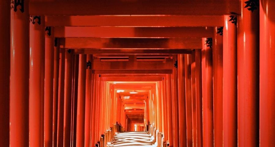 Pathway of torii gates at Fushimi Inari Shrine in Kyoto, Japan