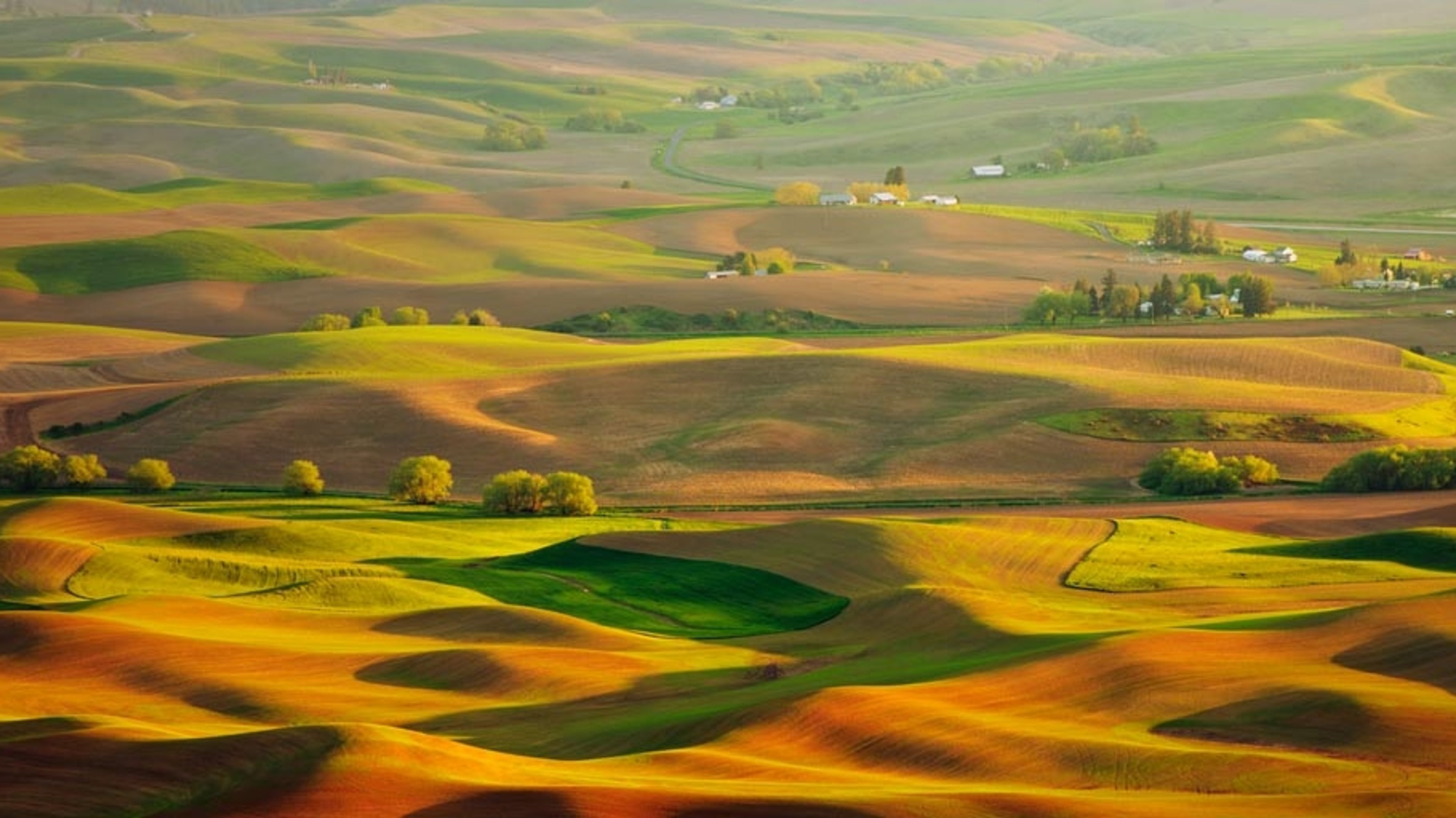 Palouse hills in the morning sun, Washington state - Bing Gallery