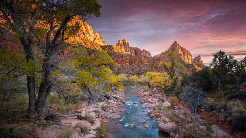 Virgin River nel Parco Nazionale di Zion, Utah, USA