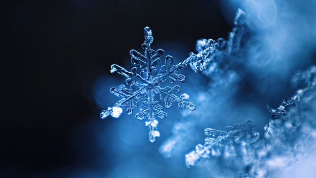 「雪の結晶」