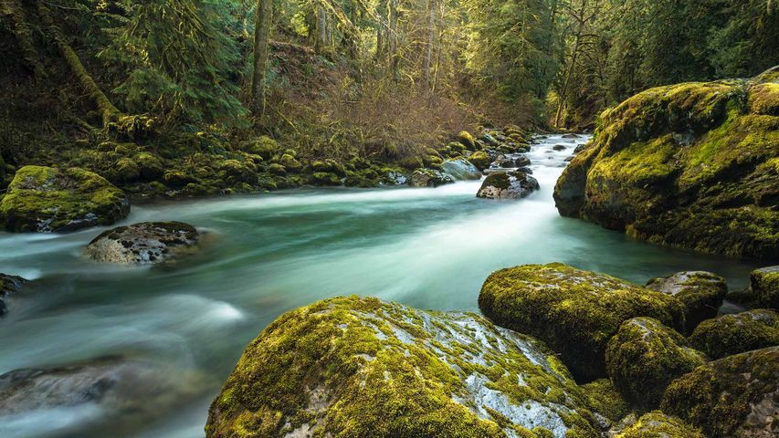Tamihi Creek, British Columbia, Canada
