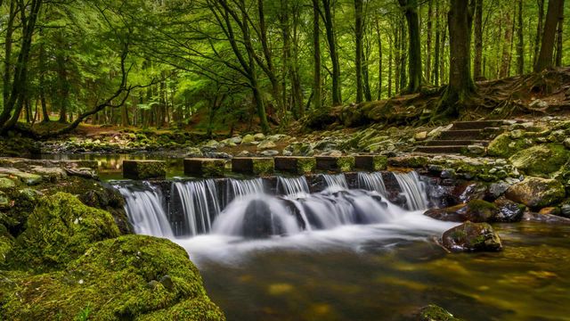 Stepping stones in Tollymore Forest Park, County Down, Northern Ireland