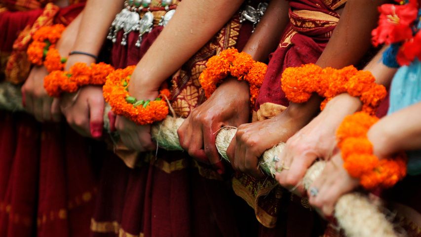 Ratha Yathra chariot being pulled in Odisha