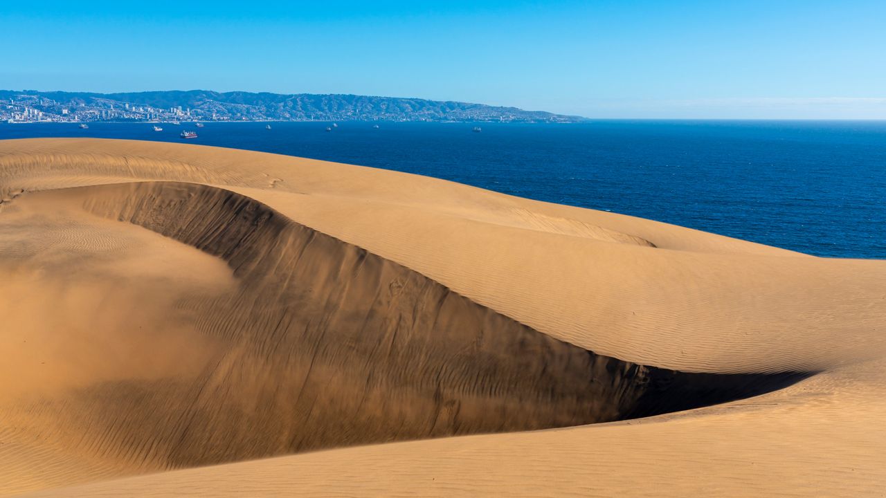 Sand dunes and salty air
