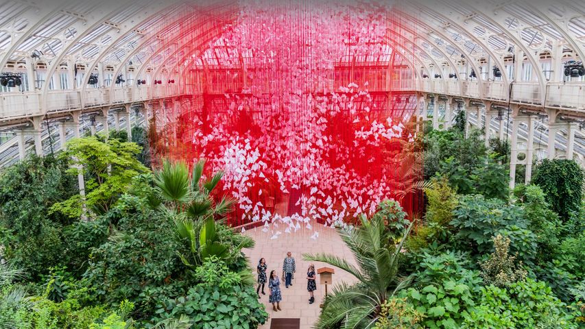 'One Thousand Springs' haiku art installation by Chiharu Shiota, Kew Royal Botanic Gardens, London, England