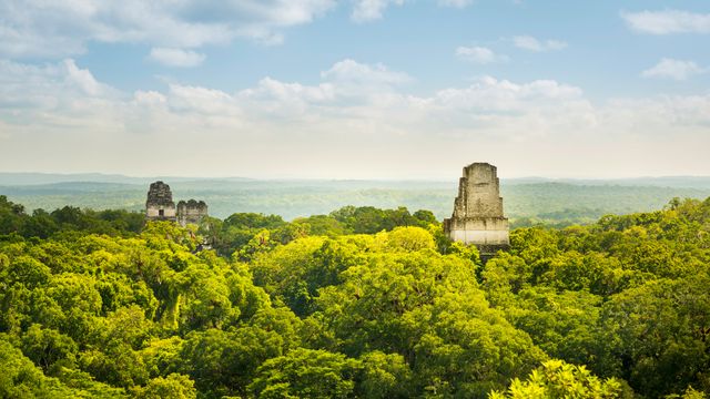Mayan ruins in Tikal, Guatemala