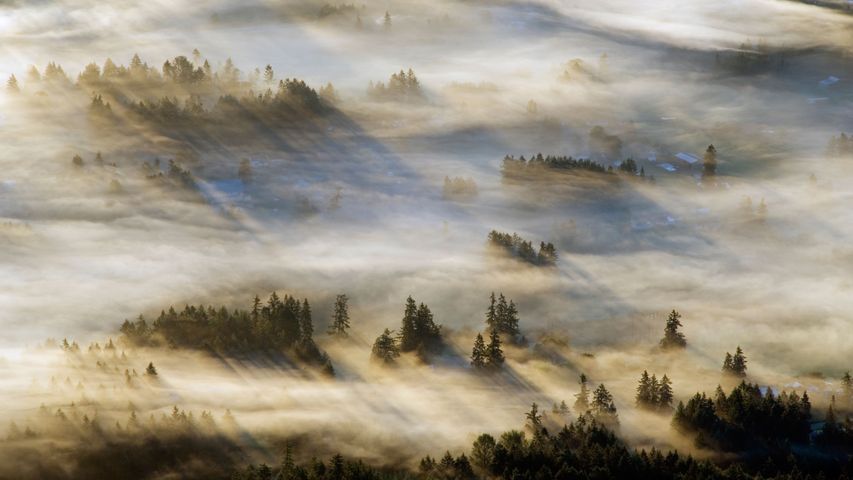 Niebla en el valle de Cowichan, en la isla de Vancouver, Columbia Británica, Canadá
