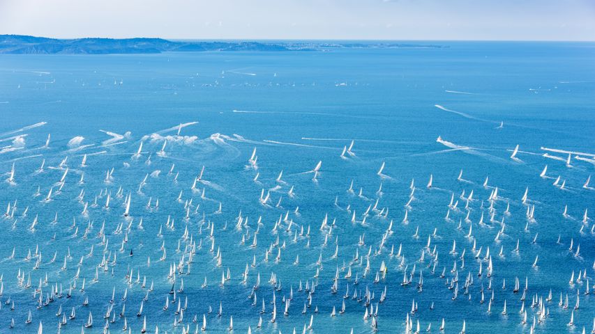 Barche a vela sulla costa, poco lontano da Trieste