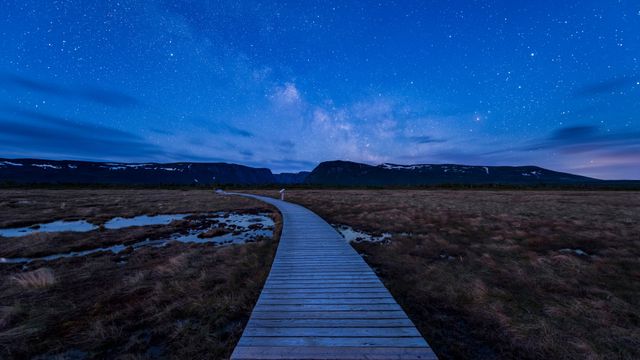 Boardwalk on hiking trail to Western Brook Pond in Gros Morne National Park