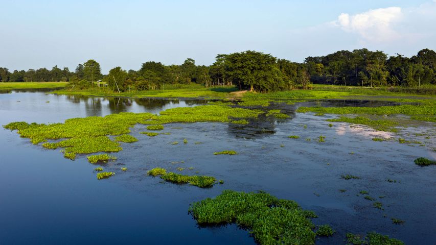 River Roll On PREMIUM Windows 10 Theme