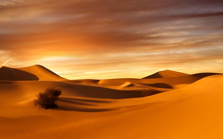 Desert Wallpapers For Windows 10