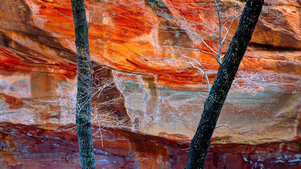 Oak Creek Canyon, Arizona, USA