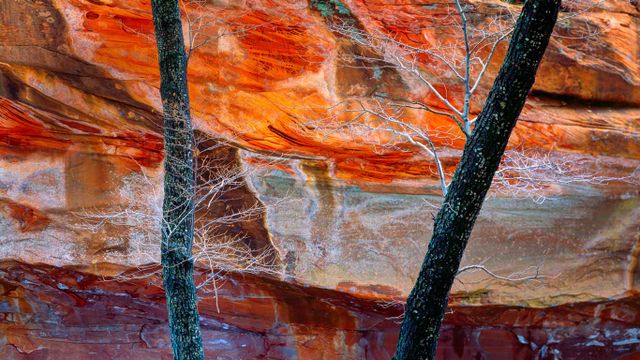 Oak Creek Canyon, Arizona, USA