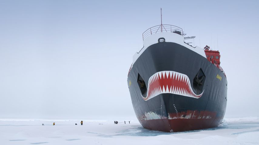俄罗斯核动力破冰船亚马尔号停泊在地理北极的冰面上