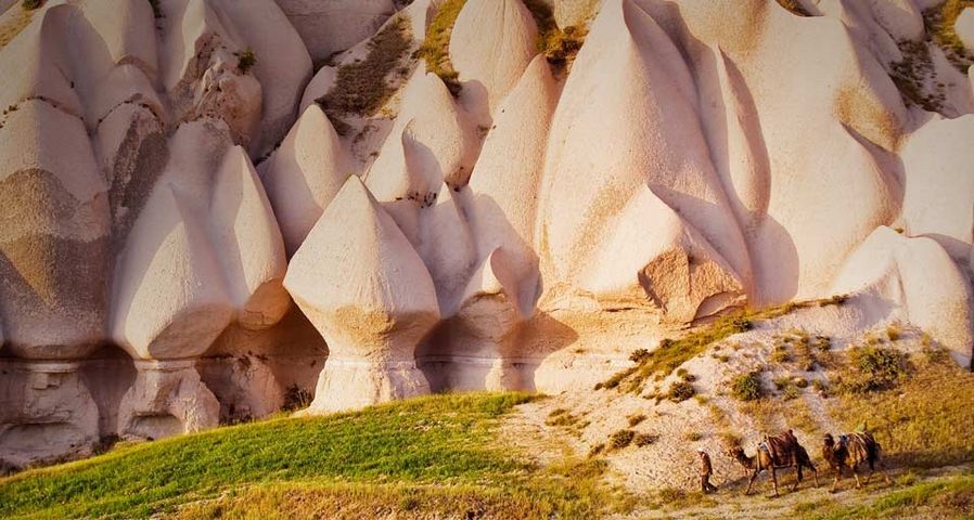 Eroded rock formations and camels in Uchisar, Cappadocia, Turkey