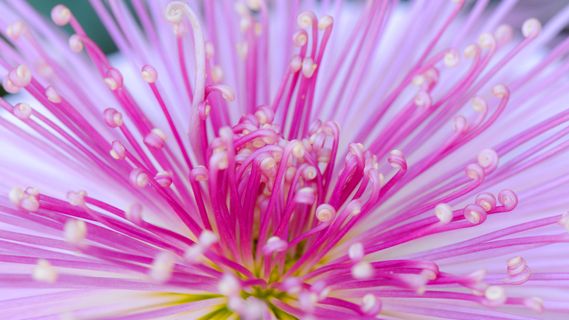 事情做得差不多了