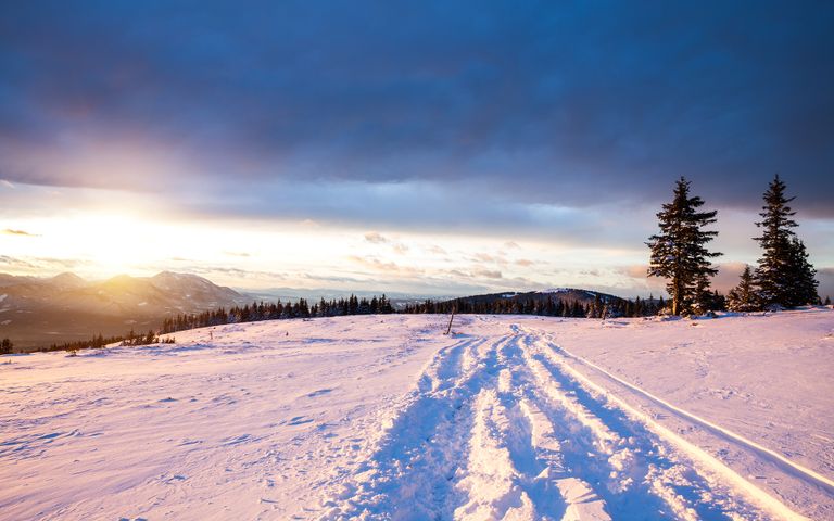 Ski Paradise Windows 10 Theme