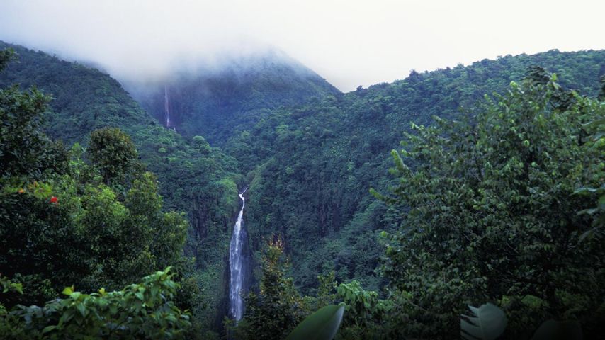 Chutes du Carbet dans le parc national de Guadeloupe