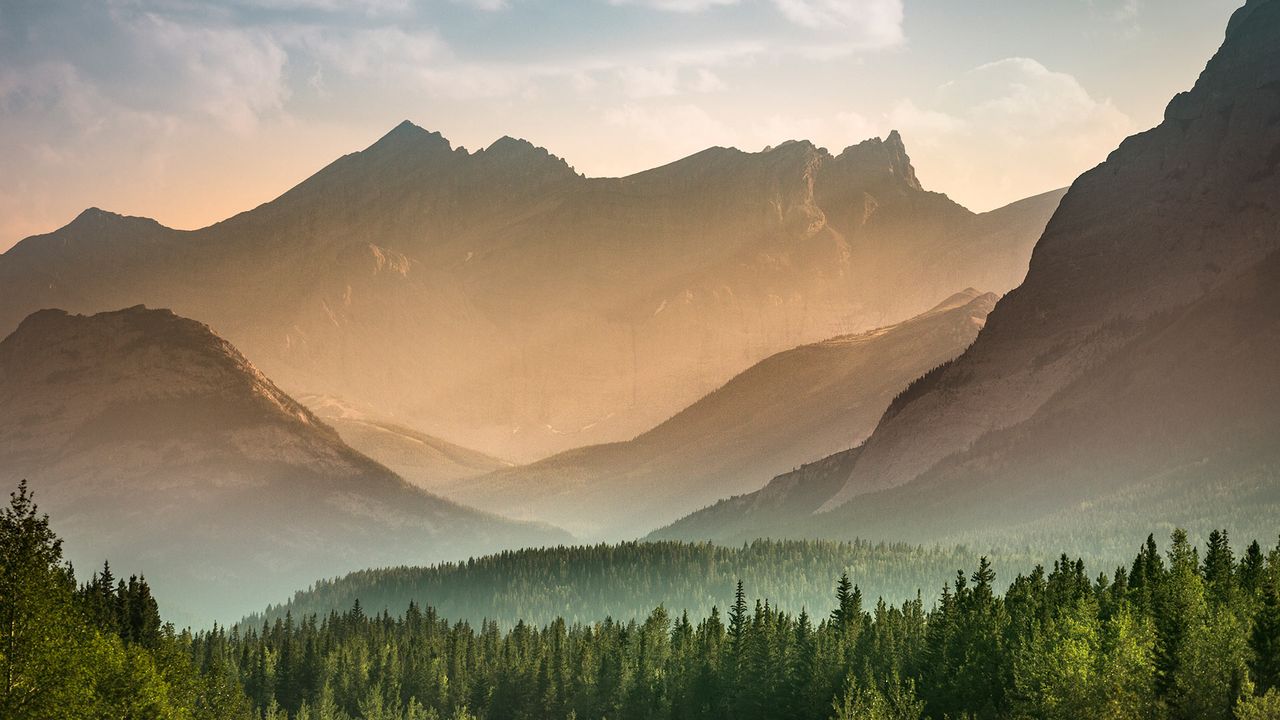 Mist rises over the forest in Banff National Park, Alberta