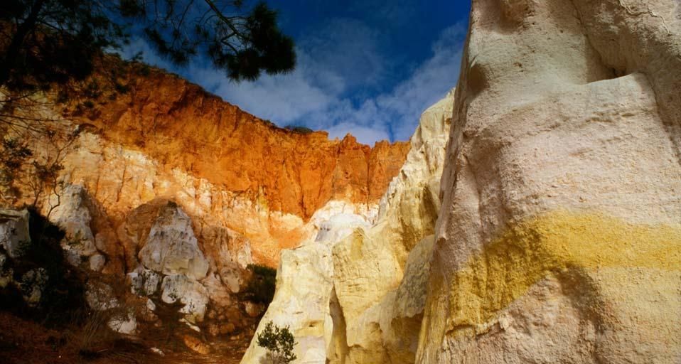 Eroded sandstone cliff, The Pinnacles, Ben Boyd National Park, New South Wales, Australia